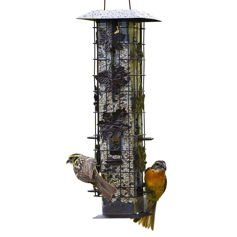 Perky-Pet 336-1SR Squirrel-Be-Gone Squirrel Proof Bird Feeder, 2LB, Outdoor Wild Bird Feeder with Weight-Activated Perches - Image 1